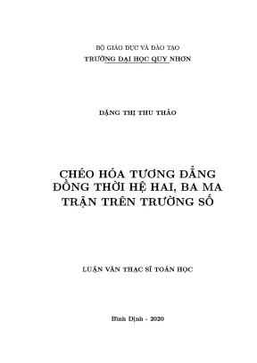 Luận văn thạc sĩ chéo hóa tương đẳng đồng thời hệ hai ba ma trận trên trường số