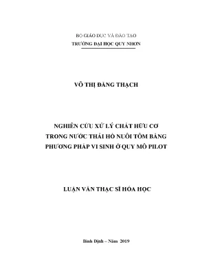 Luận văn thạc sĩ nghiên cứu xử lý chất hữu cơ trong nước thải hồ nuôi tôm bằng phương pháp vi sinh ở quy mô pilot