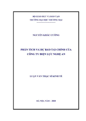 Luận văn thạc sĩ kinh tế phân tích và dự báo tài chính của công ty điện lực nghệ an