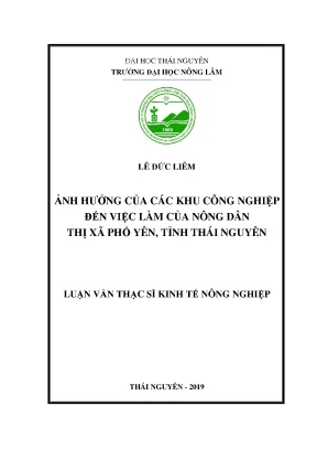 Luận văn thạc sĩ ảnh hưởng của các khu công nghiệp đến việc làm của nông dân thị xã phổ yên tỉnh thái nguyên