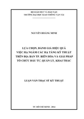 Lựa chọn đánh giá hiệu quả việc hạ ngầm các hạ tầng kỹ thuật trên địa bàn thành phố biên hòa và giải pháp tổ chức đầu tư quản lý khai thác luận văn thạc sỹ kỹ thuật hạ tầng đô thị