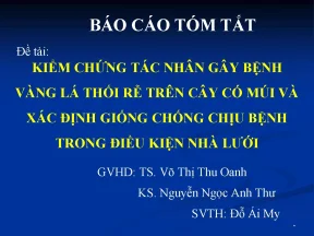 Luận văn báo cáo tóm tắt kiểm chứng tác nhân gây bệnh vàng lá thối rễ trên cây có múi và xác định giống chống chịu bệnh trong điều kiện nhà lưới