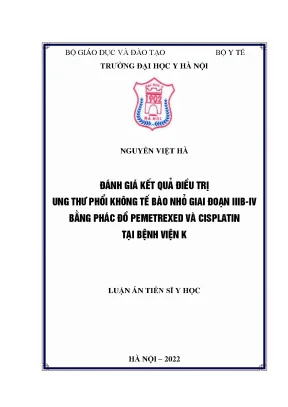 Luận án tiến sĩ đánh giá kết quả điều trị ung thư phổi không tế bào nhỏ giai đoạn iiibiv bằng phác đồ pemetrexedcisplatin tại bệnh viện k