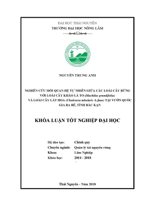 Luận văn nghiên cứu mối quan hệ giữa các loài cây rừng tự nhiên với loài cây kháo lá to machilus grandifolia s k lee et f n wei và loài cây lát hoa