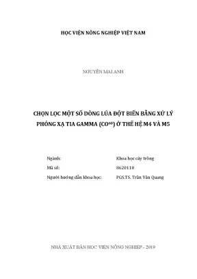 Luận văn thạc sĩ chọn lọc một số dòng lúa đột biến bằng xử lý phóng xạ tia gamma co60 ở thế hệ m4 và m5