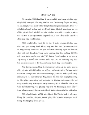 Luận án tiến sĩ nghiên cứu thực nghiệm áp dụng quy trình nuôi cấy và bảo quản tạo cốt bào biệt hóa từ tế bào gốc trung mô tủy xương