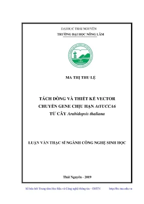 Luận văn thạc sĩ công nghệ sinh học tách dòng và thiết kế vector chuyển gene chịu hạn atyucca6 từ cây arabidopsis thaliana