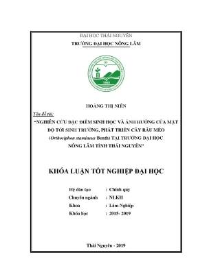 Luận văn nghiên cứu đặc điểm sinh học và ảnh hưởng của mật độ tới sinh trưởng phát triển cây râu mèo orthsiphon stamineus benth