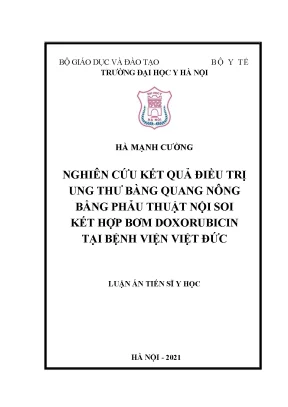 Luận án tiến sĩ nghiên cứu kết quả điều trị ung thư bàng quang nông bằng phẫu thuật nội soi kết hợp bơm doxorubicin tại bệnh viện việt đức