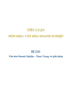 Tiểu luận văn hóa doanh nghiệp văn hóa doanh nghiệp thực trạng và giải pháp