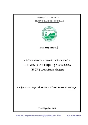 Luận văn thạc sĩ tách dòng và thiết kế vector chuyển gene chịu hạn atyucca6 từ cây arabidopsis thaliana