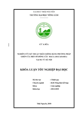 Luận văn nghiên cứu kỹ thuận nhân giống bằng phương pháp ghép của một số dòng cây maca macadamia tại ba vì hà nội