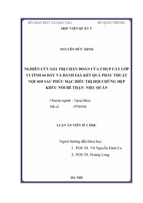 Luận án tiến sĩ nghiên cứu giá trị chẩn đoán của chụp cắt lớp vi tính 64 dãy và đánh giá kết quả phẫu thuật nội soi sau phúc mạc điều trị hội chứng hẹp khúc nối bể thận niệu quản