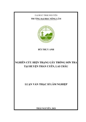 Luận văn thạc sĩ nghiên cứu hiện trạng gây trồng sơn tra tại huyện than uyên lai châu