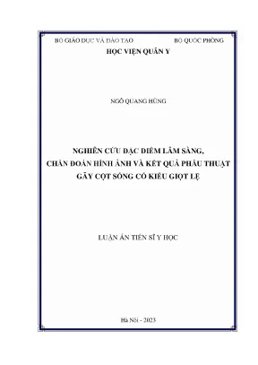 Luận án tiến sĩ nghiên cứu đặc điểm lâm sàng chẩn đoán hình ảnh và kết quả điều trị phẫu thuật gãy cột sống cổ kiểu giọt lệ
