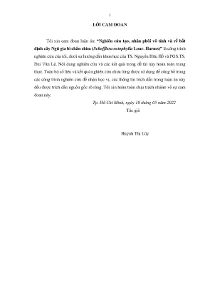 Luận án tiến sĩ sinh học nghiên cứu tạo nhân phôi vô tính và rễ bất định cây ngũ gia bì chân chim schefflera octophylla lour harms