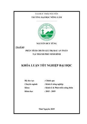 Luận văn phân tích chuỗi giá trị rau an toàn tại thành phố ninh bình