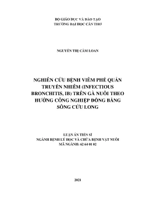 Luận án tiến sĩ nông nghiệp nghiên cứu bệnh viêm phế quản truyền nhiễm infectious bronchitis ib trên gà nuôi theo hướng công nghiệp đồng bằng sông cửu long