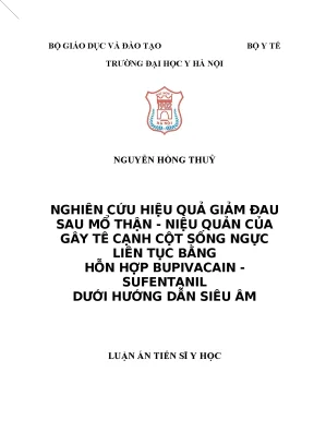 Luận án tiến sĩ nghiên cứu hiệu quả giảm đau sau mổ thận niệu quản của gây tê cạnh cột sống ngực liên tục bằng hỗn hợp bupivacain sufentanil dưới hướng dẫn siêu âm