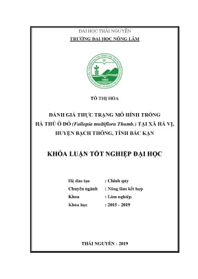 Luận văn đánh giá thực trạng mô hình trồng hà thủ ô đỏ fallopia multiflora thumb tại xã hà vị huyện bạch thông tỉnh bắc kạn