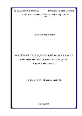 Luận án tiến sĩ nông nghiệp nghiên cứu tích hợp gen kháng bệnh bạc lá vào một số dòng giống lúa phục vụ chọn tạo giống