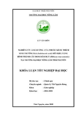 Luận văn nghiên cứu ảnh hưởng của thuốc kích thích sinh trưởng iaa indoleacetic acid đến khả năng hình thành cây hom dâm bụt hibiscus rosa sinensis