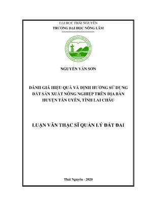 Luận văn thạc sĩ đánh giá hiệu quả và định hướng sử dụng đất sản xuất nông nghiệp trên địa bàn huyện tân uyên tỉnh lai châu