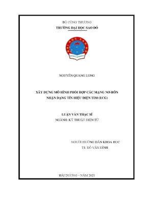Luận văn thạc sĩ xây dựng mô hình phối hợp các mạng nơ rôn nhận dạng tín hiệu điện tim ecg