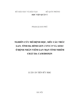 Luận án tiến sĩ nghiên cứu mô bệnh học siêu cấu trúc gan tính đa hình gen cyp2c19 và mdr1 ở bệnh nhân viêm gan mạn tính nhiễm chất da camdioxin