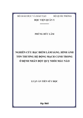 Luận án tiến sĩ nghiên cứu đặc điểm lâm sàng hình ảnh tổn thương hệ động mạch cảnh trong ở bệnh nhân đột quỵ nhồi máu não