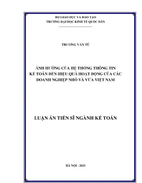 Luận án tiến sĩ ảnh hưởng của hệ thống thông tin kế toán đến hiệu quả hoạt động của các doanh nghiệp nhỏ và vừa việt nam