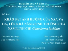 Luận văn báo cáo tốt nghiệp khảo sát ảnh hưởng của naa và ga3 lên khả năng sinh trưởng của nấm linh chi ganoderma lucidum
