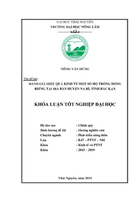 Luận văn đánh giá hiệu quả kinh tế một số hộ trồng dong riềng tại bàn huyện na rì tỉnh bắc kạn