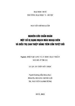 Luận án tiến sĩ y học nghiên cứu chẩn đoán một số dị dạng mạch máu ngoại biên và điều trị can thiệp bằng tiêm cồn tuyệt đối