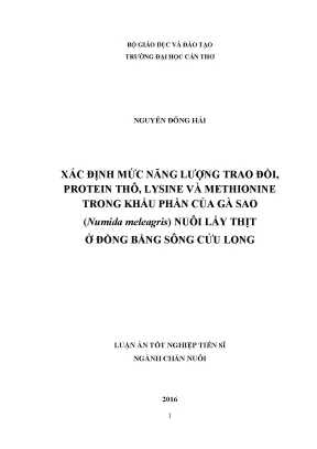 Luận án tiến sĩ xác định mức năng lượng trao đổi protein thô lysine và methionine trong khẩu phần của gà sao numida meleagris nuôi lấy thịt ở đồng bằng sông cửu long