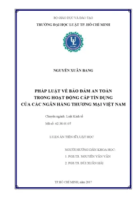 Luận án tiến sĩ pháp luật về bảo đảm an toàn trong hoạt động cấp tín dụng của các ngân hàng thương mại việt namo