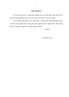 Nghiên cứu xử lý nền đất yếu bằng phương pháp cọc đất gia cố xi măng đoạn mở rộng đường nối cầu thủ thiêm qua đại lộ đông tây luận văn thạc sỹ chuyên ngành xây dựng đường ô tô và đường thành phố