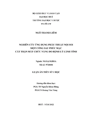 Luận án tiến sĩ y học nghiên cứu ứng dụng phẫu thuật nội soi một cổng sau phúc mạc cắt thận mất chức năng do bệnh lý lành tính