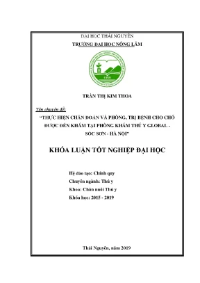 Luận văn thực hiện chẩn đoán và phòng trị bệnh cho chó được đến khám tại phòng khám thú y global sóc sơn hà nội