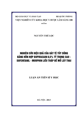 Luận án tiến sĩ nghiên cứu hiệu quả của gây tê tủy sống bằng hỗn hợp bupivacain 0 5 tỷ trọng cao sufentanil morphin liều thấp để mổ lấy thai