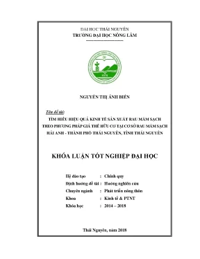 Luận văn tìm hiểu hiệu quả kinh tế sản xuất rau mầm sạch theo phương pháp giá thể hữu cơ tại cơ sở rau mầm sạch hải anh thành phố thái nguyên