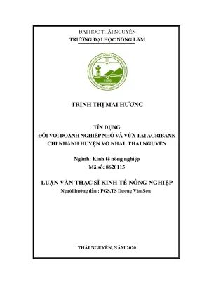 Luận văn thạc sĩ tín dụng đối với doanh nghiệp nhỏ và vừa tại agribank chi nhánh huyện võ nhai thái nguyên