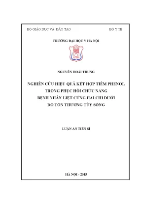 Luận án tiến sĩ nghiên cứu hiệu quả kết hợp tiêm phenol trong phục hồi chức năng bệnh nhân liệt cứng hai chi dưới do tổn thương tủy sống