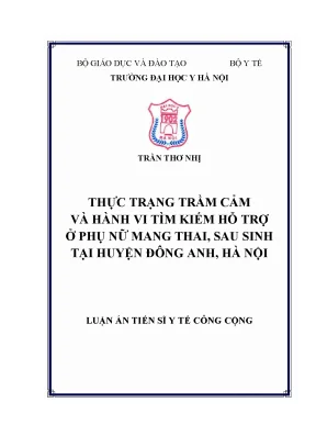 Luận án tiến sĩ thực trạng trầm cảm và hành vi tìm kiếm hỗ trợ ở phụ nữ mang thai sau sinh tại huyện đông anh hà nội