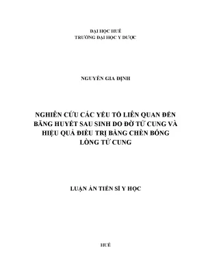 Luận án tiến sĩ nghiên cứu các yếu tố liên quan đến băng huyết sau sinh do đờ tử cung và hiệu quả điều trị bằng chèn bóng lòng tử cung