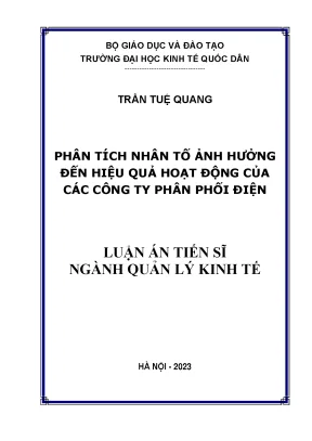 Luận án tiến sĩ phân tích nhân tố ảnh hưởng đến hiệu quả hoạt động của các công ty phân phối điện
