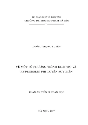 Luận án tiến sĩ về một số phương trình elliptic và hyperbolic phi tuyến suy biến