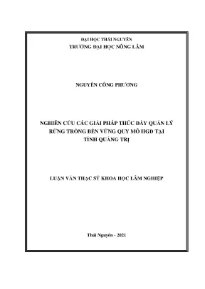 Luận văn thạc sĩ nghiên cứu các giải pháp thúc đẩy quản lý rừng trồng bền vững quy mô hộ gia đình tại tỉnh quảng trị