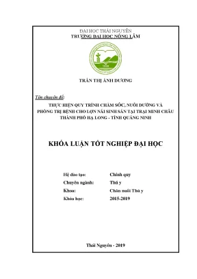 Luận văn thực hiện quy trình chăm sóc nuôi dưỡng và phòng trị bệnh cho lợn nái sinh sản tại trại minh châu thành phố hạ long tỉnh quảng ninh
