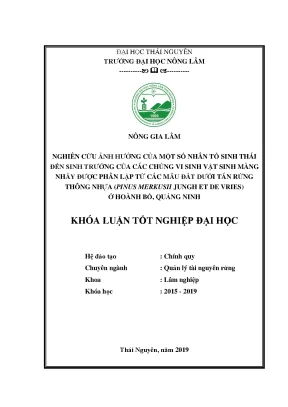 Luận văn nghiên cứu hưởng của một số nhân tố sinh thái đến sinh trưởng của các chủng vi sinh vật sinh màng nhầy được phân lập từ các mẫu đất dưới tán rừng thông nhựa